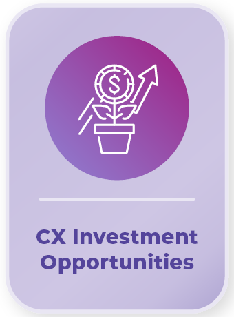 CX Investment Opportunities