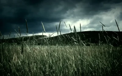 Storm Season is Coming: Is Your Utility Support Ready? 